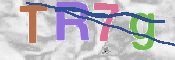 Immagine CAPTCHA