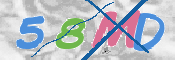 Immagine CAPTCHA
